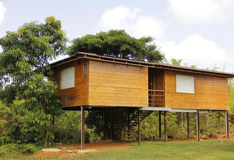 חדר דלוקס, Riverside County Resort