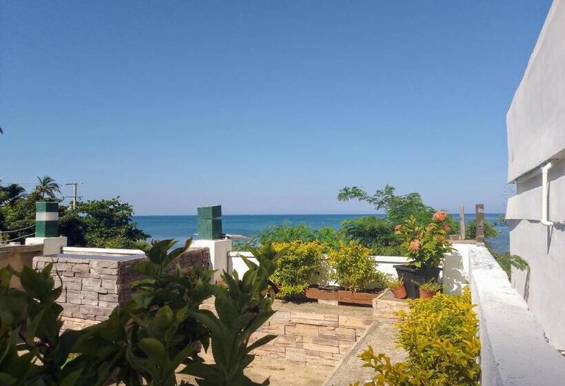 이코노미 룸, Cabaña Salguero