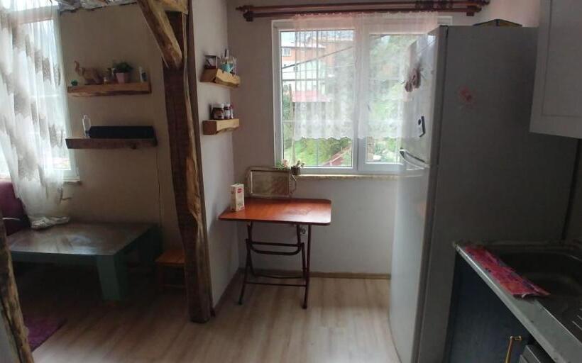 带1个卧室带观景的公寓, Sahin House