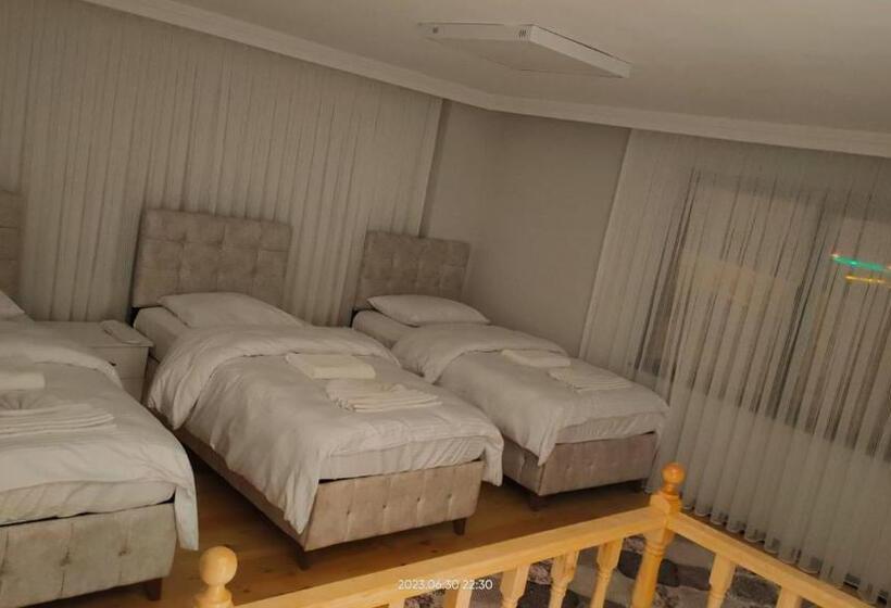 带1个卧室的豪华公寓, Sahin House