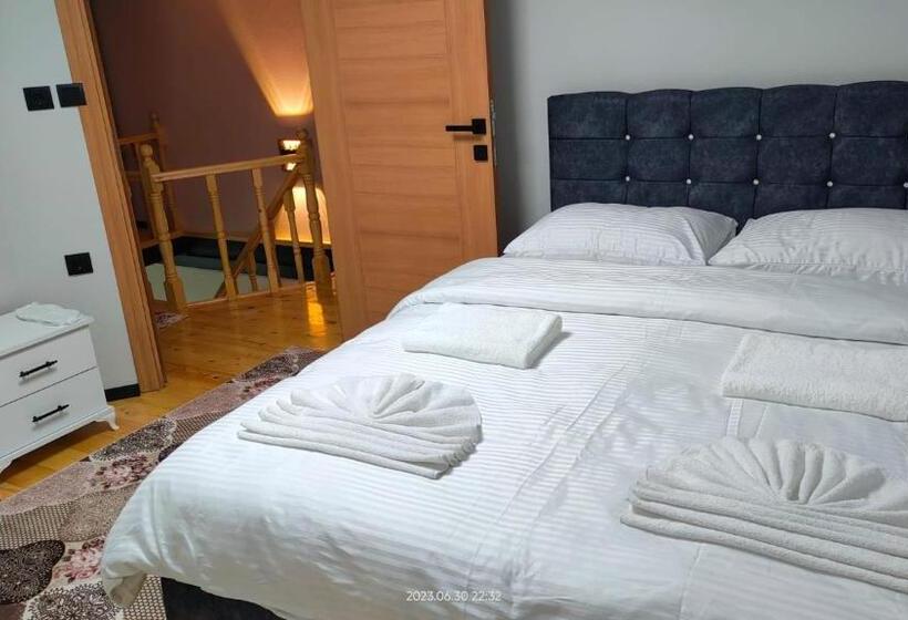 带1个卧室的豪华公寓, Sahin House