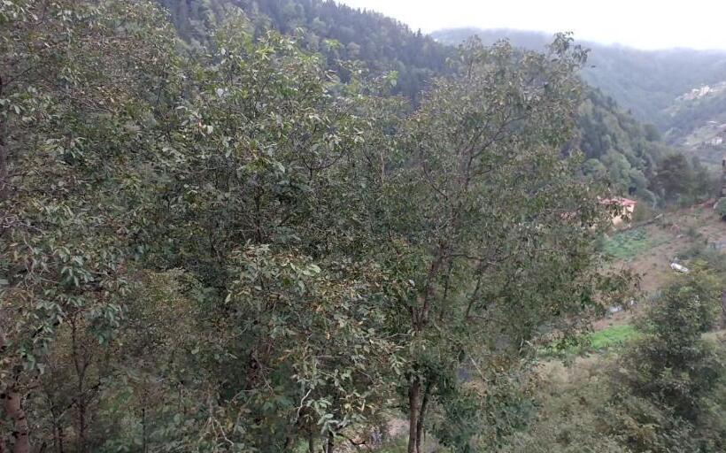 带1个卧室带观景的公寓, Sahin House