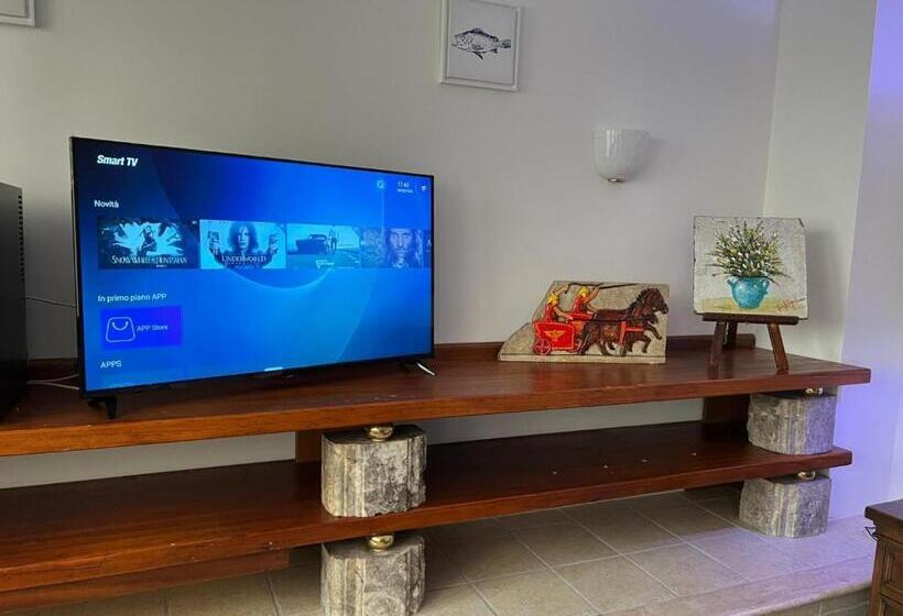 غرفة قياسية, Wild Rooms&house