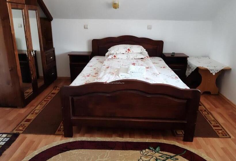 غرفة قياسية, Pensiunea Mirela