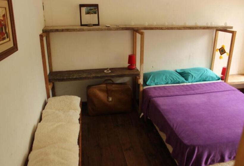 חדר סטנדרט, Resiliencia