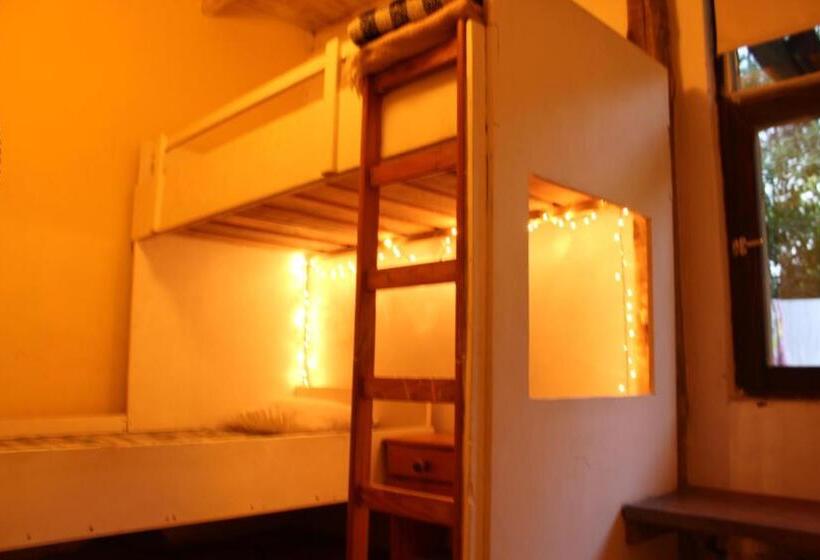 חדר סטנדרט, Resiliencia