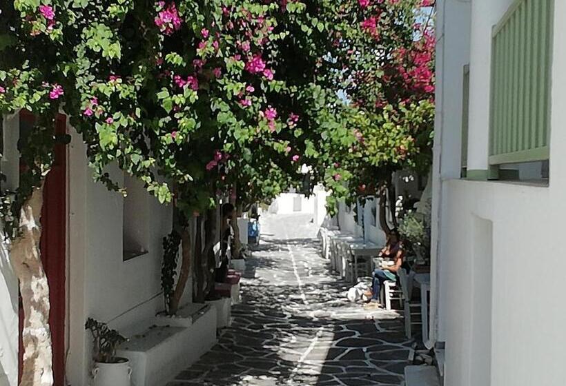 Chambre Triple Confort, Clementina Paros