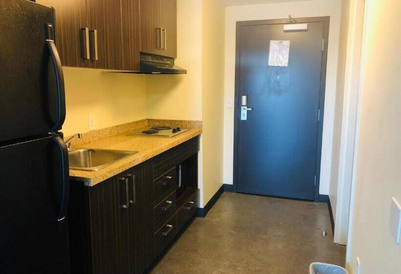 إستوديو قياسى, Sait Residence & Conference Centre   Calgary