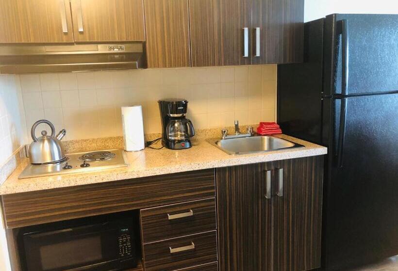 إستوديو ديلوكس, Sait Residence & Conference Centre   Calgary