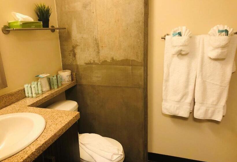 إستوديو ديلوكس, Sait Residence & Conference Centre   Calgary