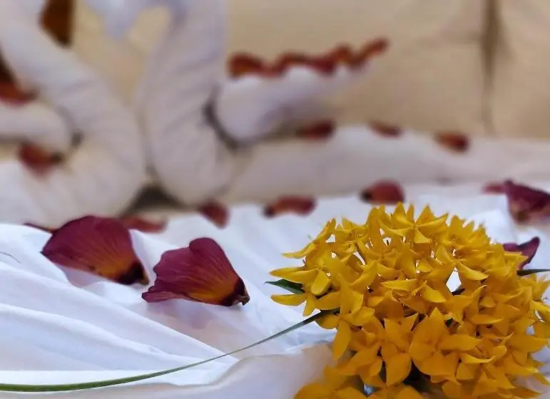 اتاق لوکس, Akiri Surf Retreat