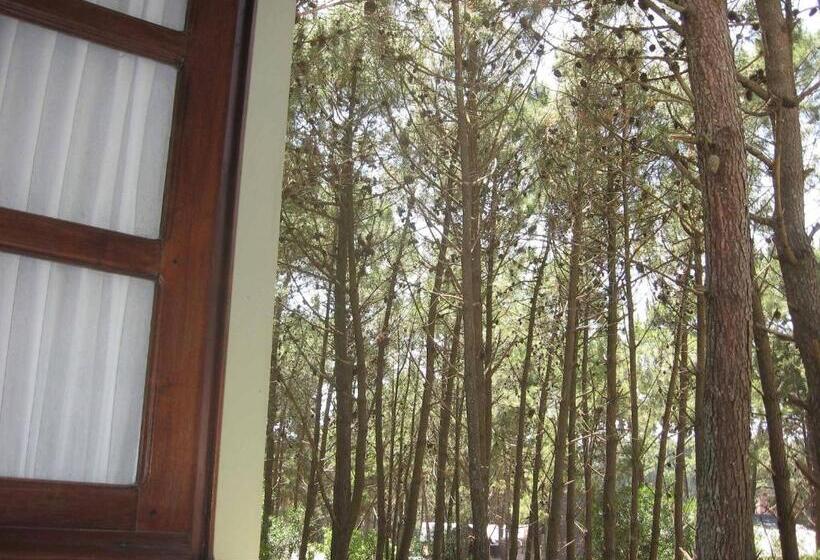 חדר קומפורט לשלושה, Posada La Casona