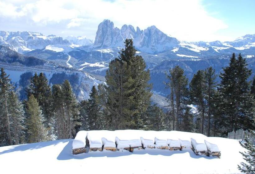 غرفة قياسية مطلة على الجبل, Chalet Da Mont Resciesa