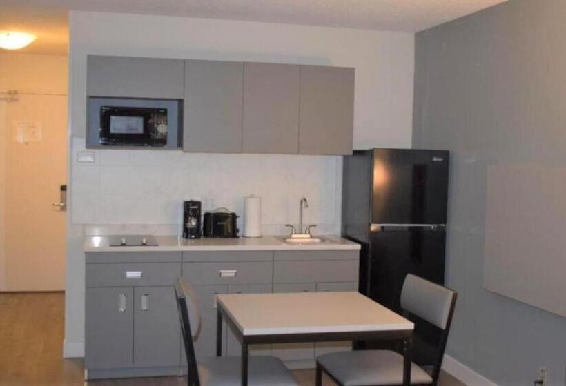 스위트 킹사이즈 침대, Mainstay Suites Msp Airport Mall Of America