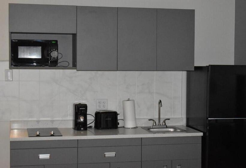 스위트 킹사이즈 침대, Mainstay Suites Msp Airport Mall Of America