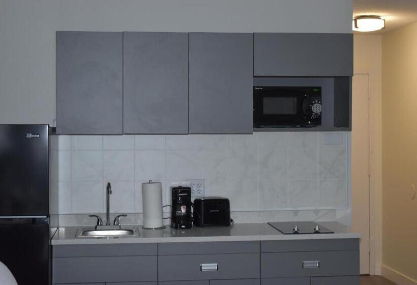 스탠다드 룸 킹사이즈 침대, Mainstay Suites Msp Airport Mall Of America