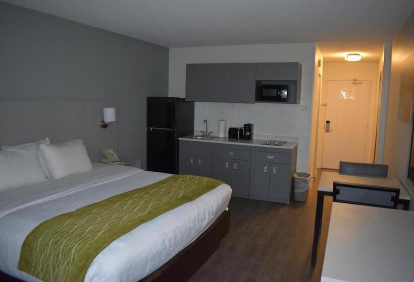 스탠다드 룸 킹사이즈 침대, Mainstay Suites Msp Airport   Mall Of America