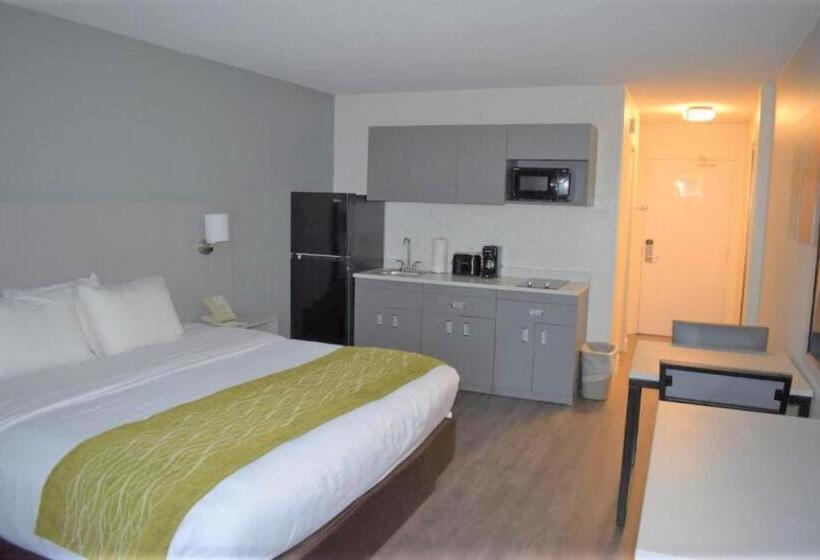 스탠다드 룸 킹사이즈 침대, Mainstay Suites Msp Airport Mall Of America