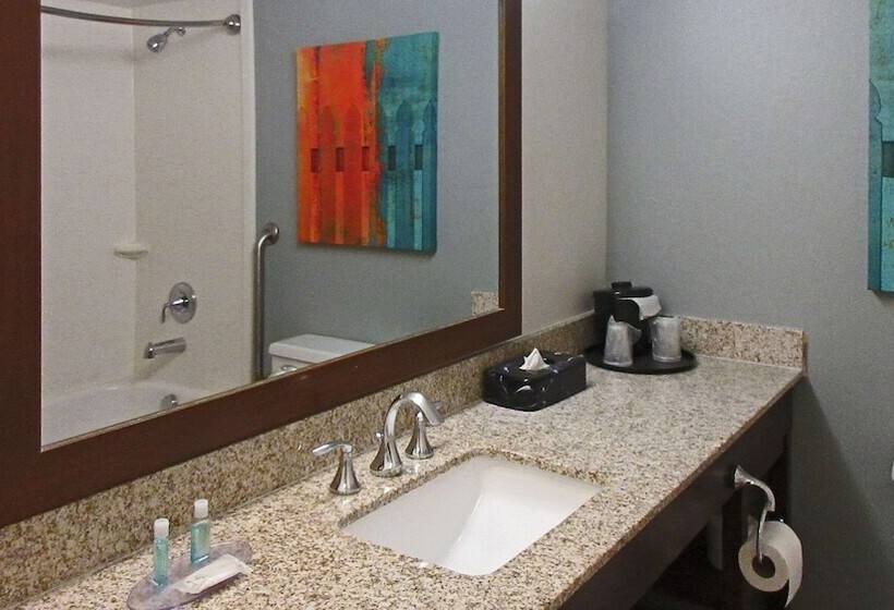 장애인을 위한 스위트, Mainstay Suites Msp Airport   Mall Of America