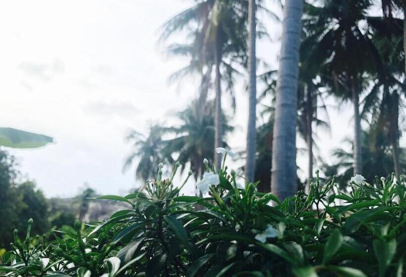 اتاق استاندارد سه تخته با چشم‌انداز باغ, Anh Linh Guest House