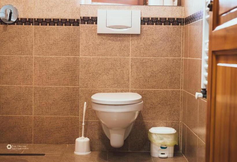 스탠다드 룸 가든 전망, Pensiunea Colt De Rai Cean