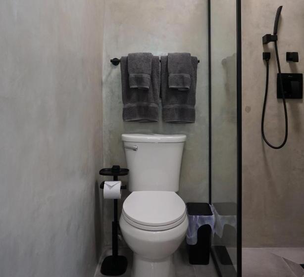 سوییت, The Looking Glass