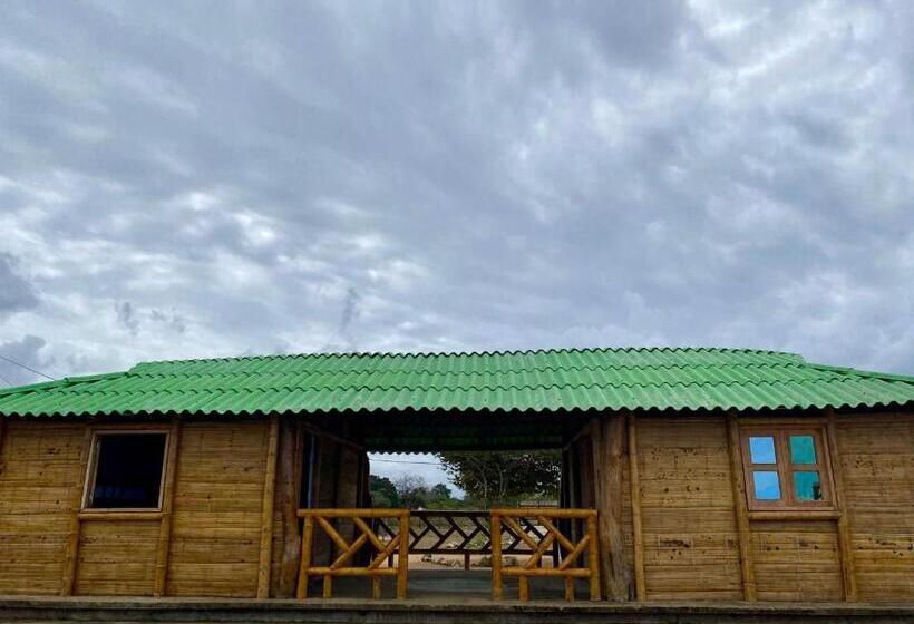 سرير فى غرفة مشتركه, Guajira Beach