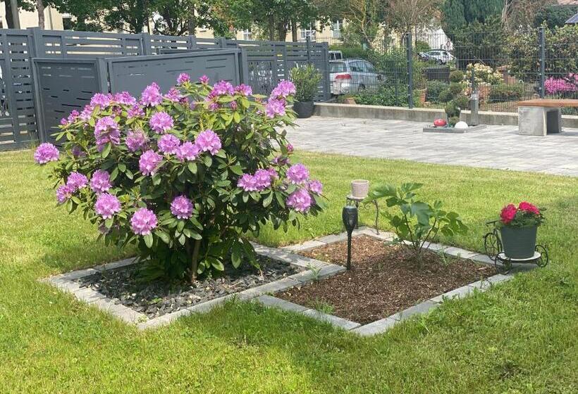 디럭스 룸, Meli Vellmar