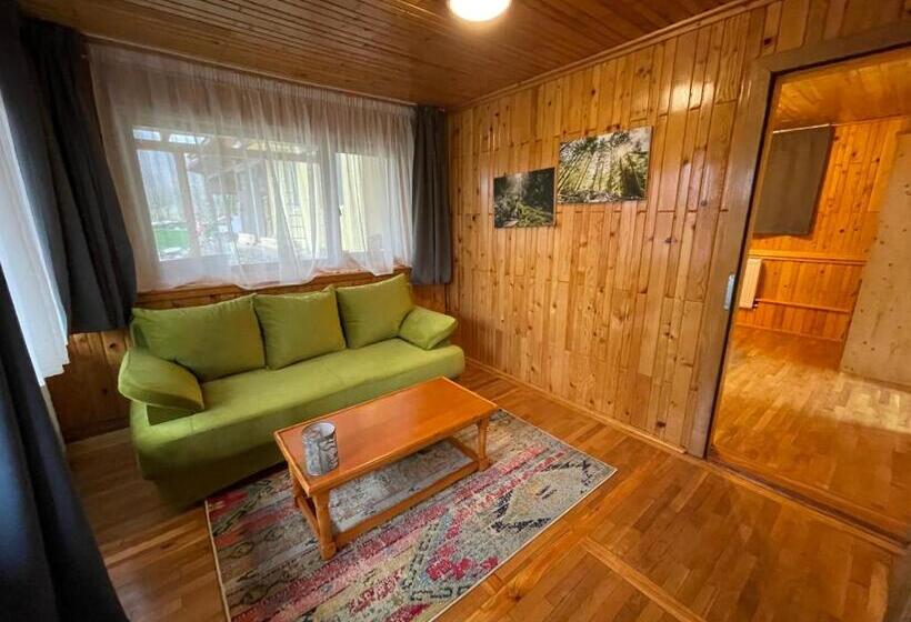 اتاق استاندارد با تخت بزرگ, Vila Piramida