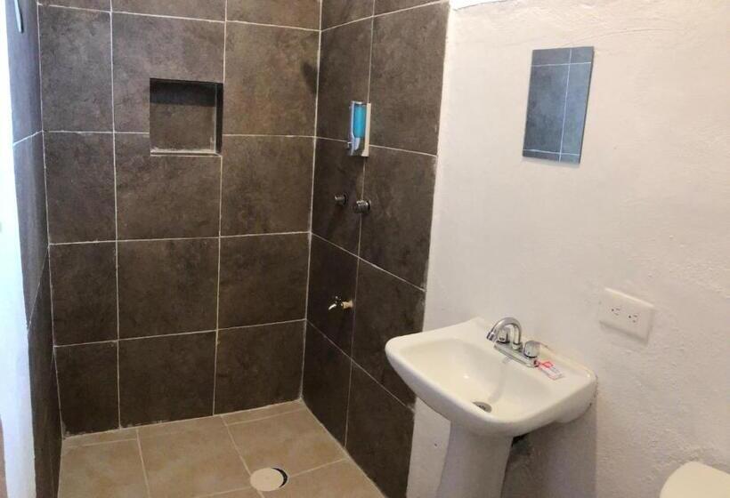 اتاق استاندارد, Enso In Downtown