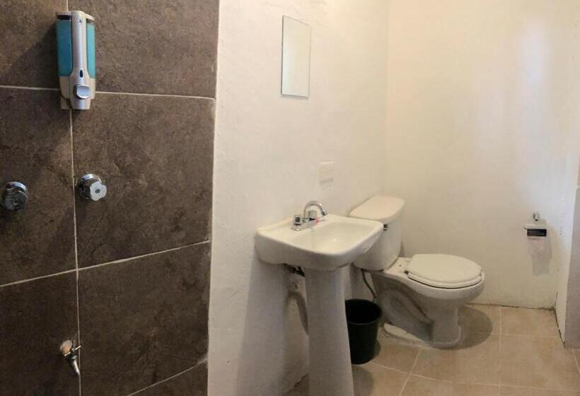 اتاق استاندارد, Enso In Downtown