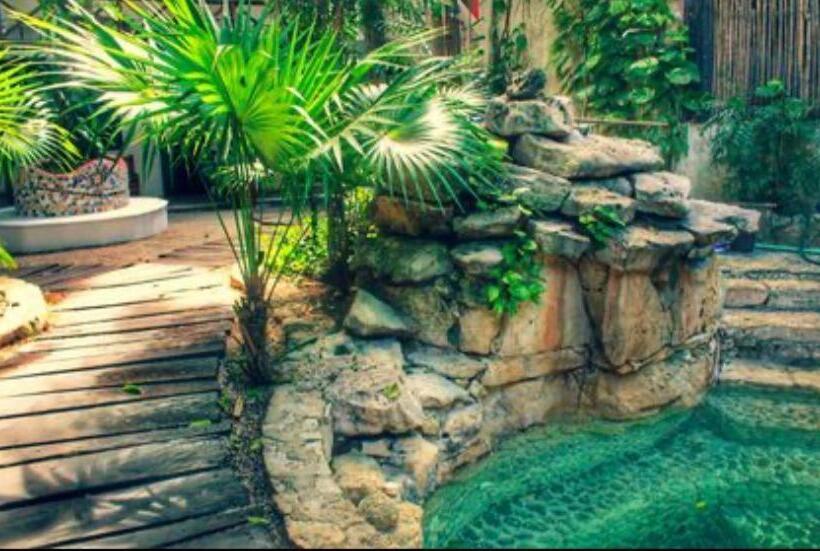 スタンダードルーム, Trebol