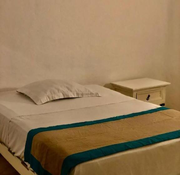 スタンダードルーム, Trebol