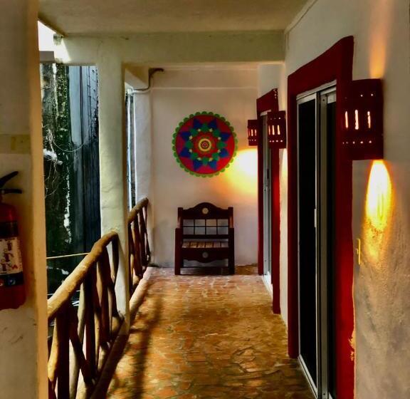 スタンダードルーム, Trebol