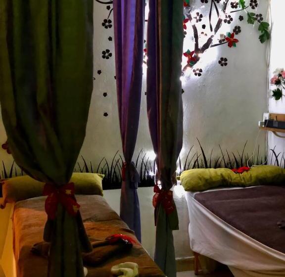 スタンダードルーム, Trebol