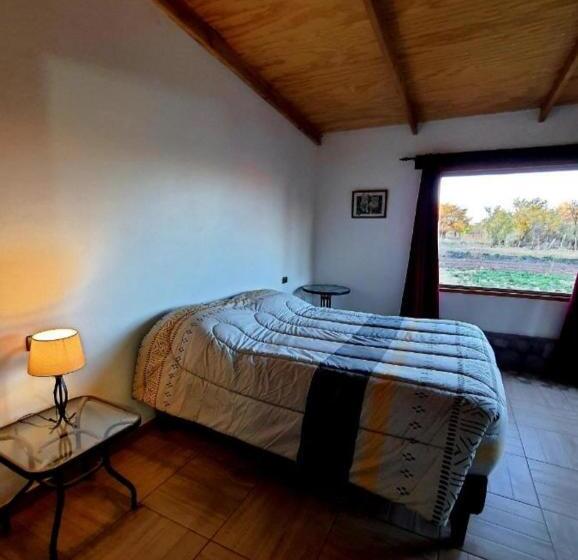 Люкс Вид на Сад, Hostal Don Felix