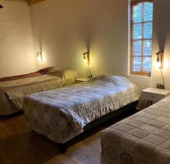 Апартаменты 1 Спальня с Террасой, Hostal Don Felix