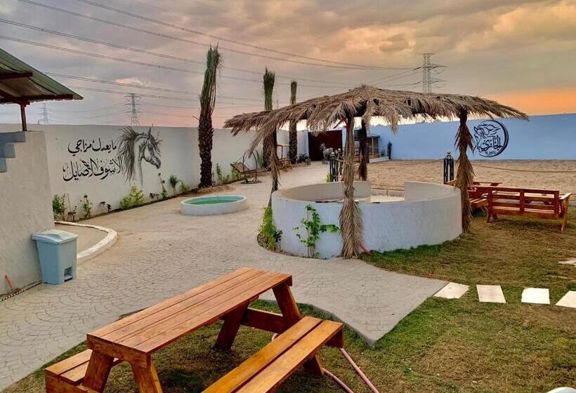 Chalet 1 Dormitório, مربط الجازي