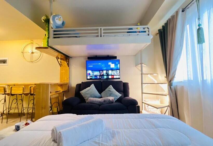 استودیوی استاندارد, Comfy Studio Room