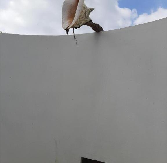 スタンダードルーム, Pearl Star Beach Resort