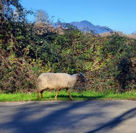 带1个卧室的带阳台的公寓, Residence Marina Di Bravone