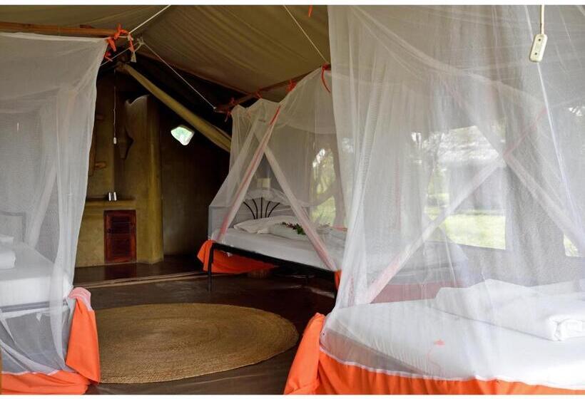 デラックスルーム, Ikoma Bush Camp