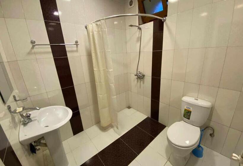 Номер Стандарт, Ani Guest House