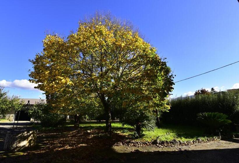 标准间, Villa Anna Maria   Telese