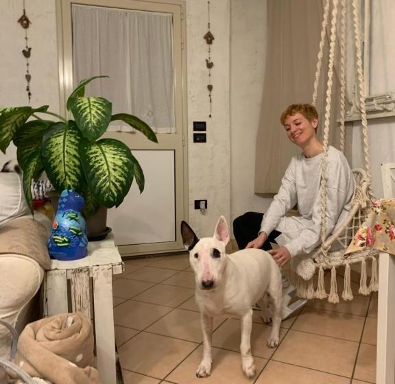 スタンダードルーム, Ginko