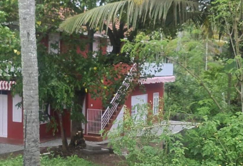 Deluxe Zimmer, Philosopher S Stone