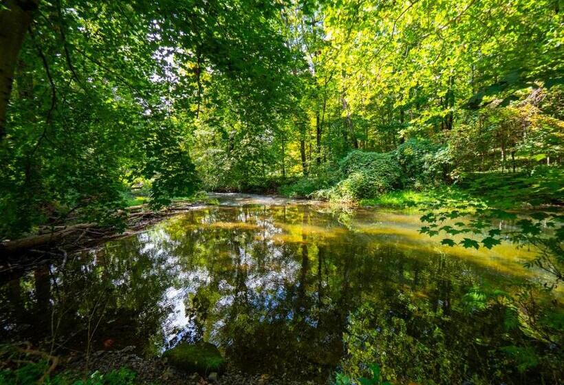 חדר סופריור עם מיטת קינג, The Brooks Motel