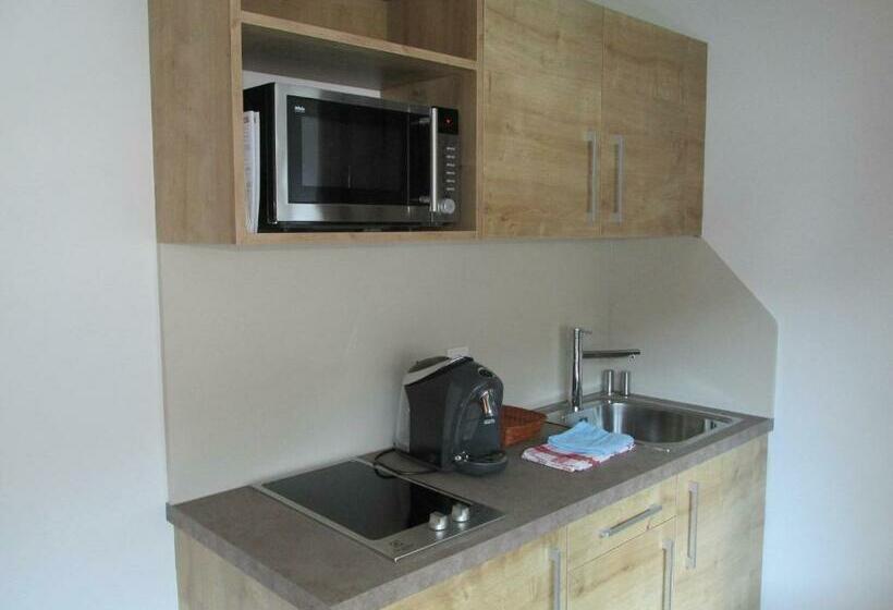 إستوديو قياسى, Alpine Lodge Klösterle Am Arlberg