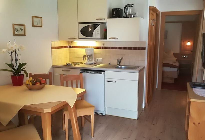 דירת חדר, Apart Austria