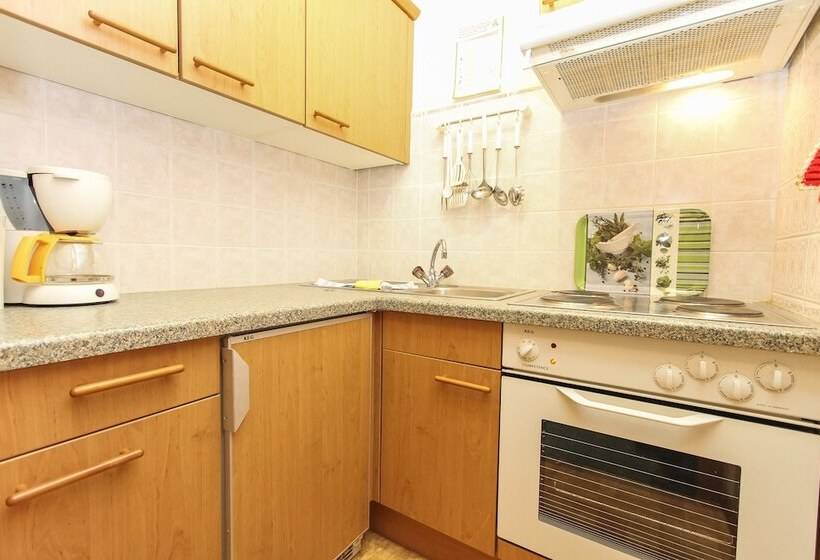 バルコニー付き1ベッドルームアパートメント, Der Bräuschmied